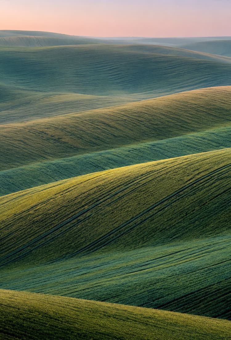 Rolling green farmland fields at golden hour.